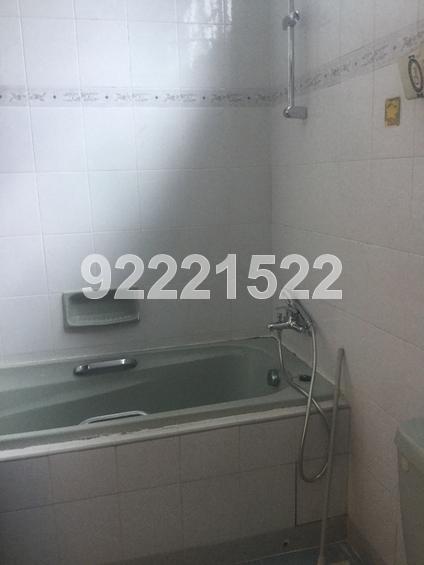 Lorong Sarhad (D5), Semi-Detached #109708582